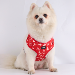 Christmas Pattern Harness Bundle