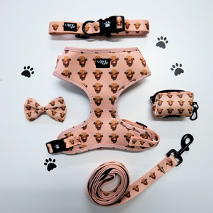 Highland Cow Harness Bundle