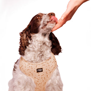 Beige Bones Harness