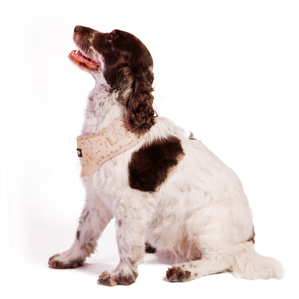 Beige Bones Harness