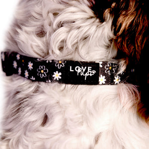 Daisy Love Collar