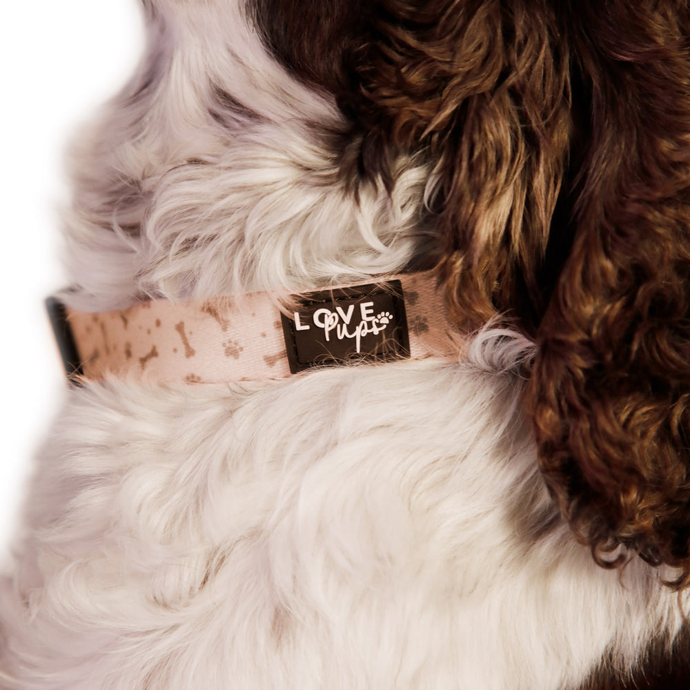 Beige Bones Harness Bundle