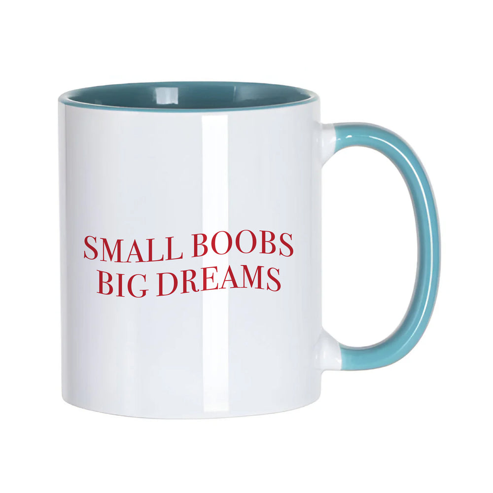 Small Boobs Big Dreams Slogan White Mug