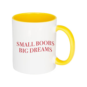 Small Boobs Big Dreams Slogan White Mug