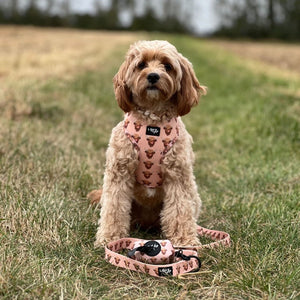 Highland Cow Harness