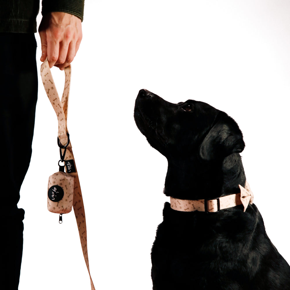 Beige Bones Harness Bundle