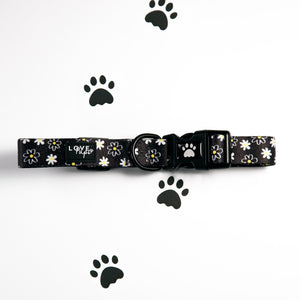 Daisy Love Collar