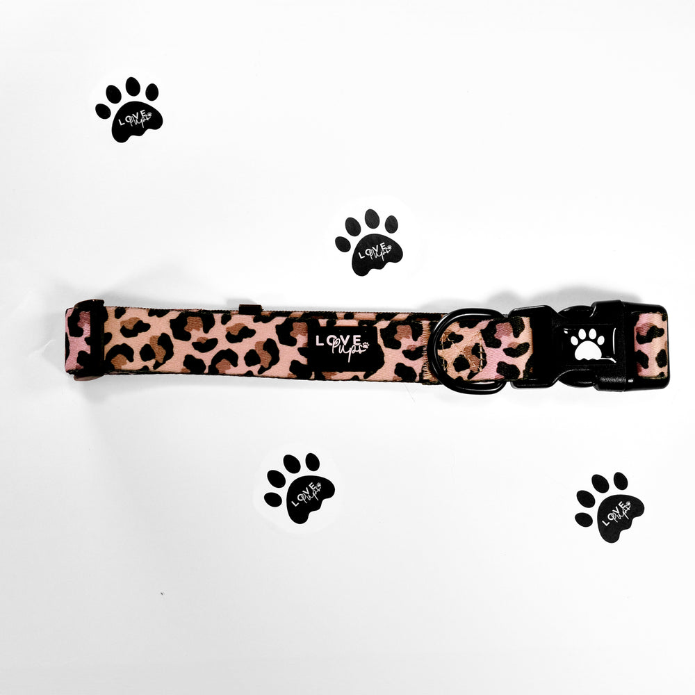 Leopard Print Harness Bundle