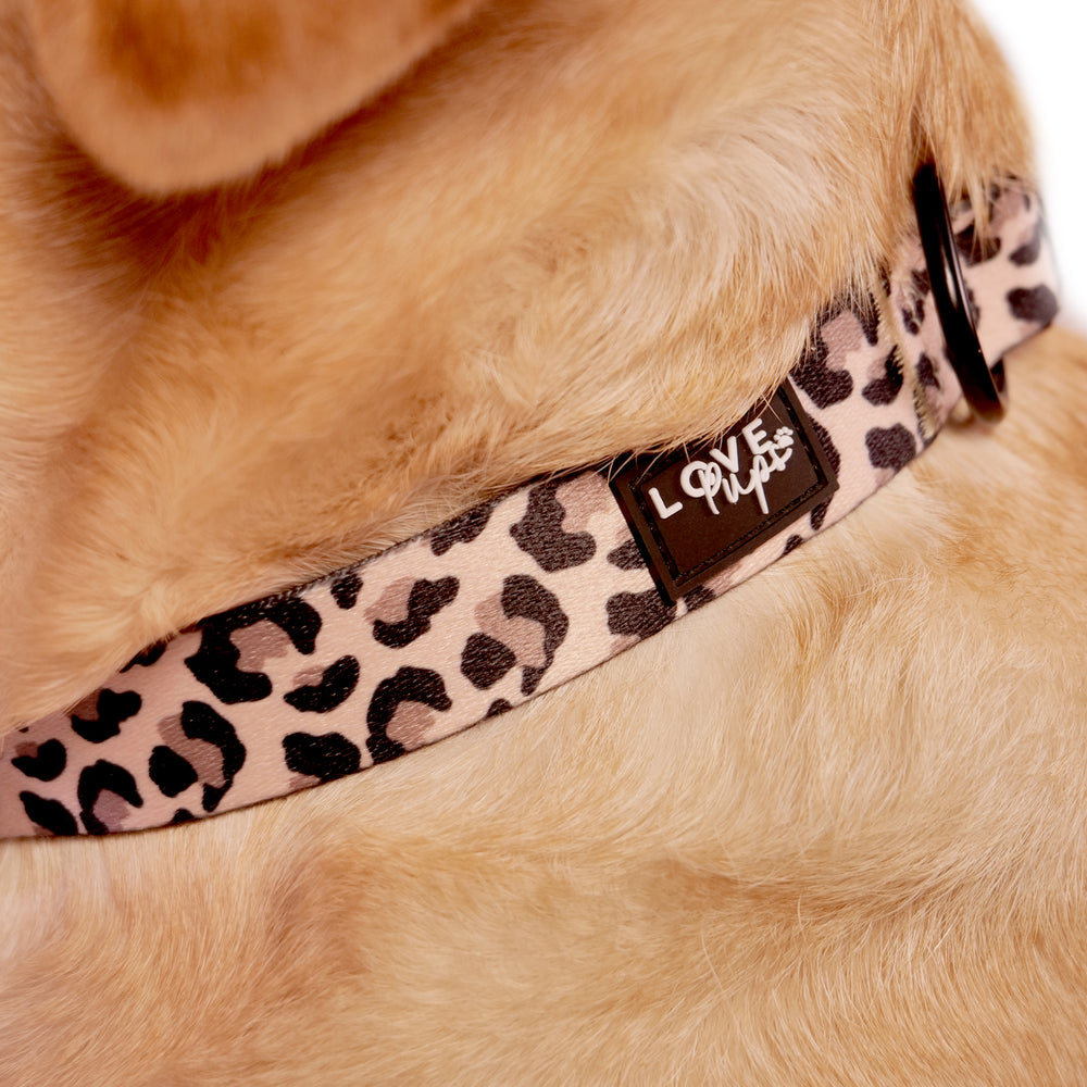 Leopard Print Harness Bundle