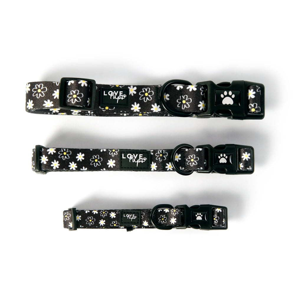 Daisy Love Collar