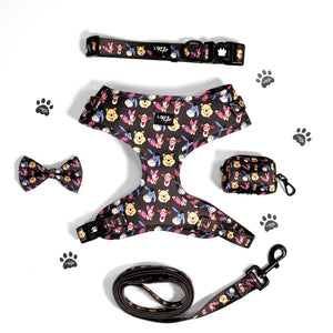 Winnie & Friends Harness Bundle