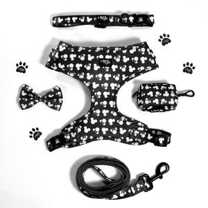 Mickey & Minnie Harness Bundle