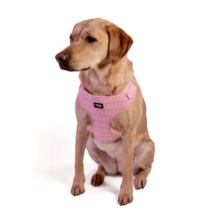 Pink Bows Harness Bundle