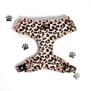 Leopard Print Harness Bundle