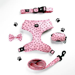 Scattered Hearts Harness Bundle